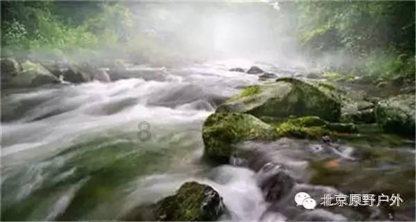 美人鱼的聚会